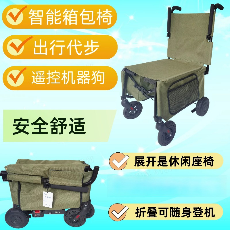 Skuter Mobilitas Elektrik, Sku - Folding Electric Scooter ulasan dan harga