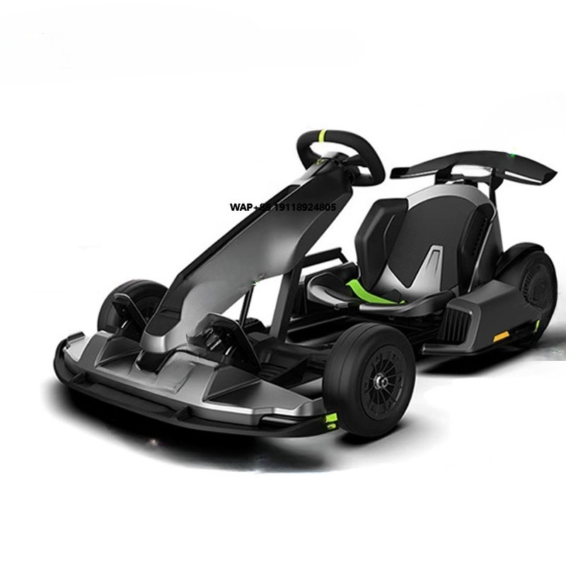 Go Kart Pro2 untuk Dewasa dan  - Kids Electric Scooter ulasan dan harga